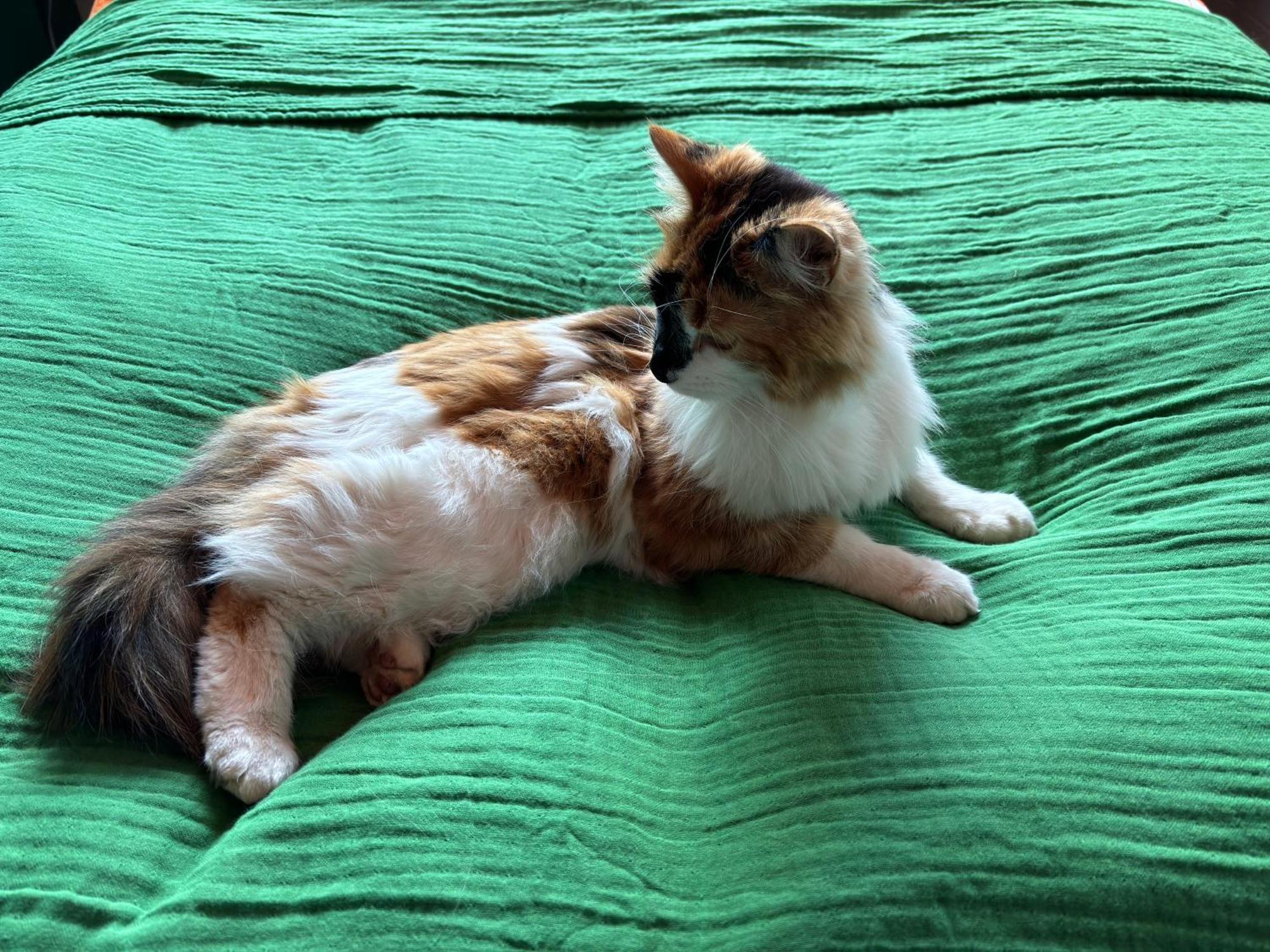 グルンダルフィヨルズルThe Cat'S Cradleアパートメント エクステリア 写真